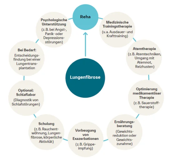 Reha - Ein ganzheitliches Programm Infografik: Kreisdiagramm zu einem umfassenden Programm der pneumologischen Rehabilitation bei Lungenfibrose. Im Mittelpunkt steht „Lungenfibrose", umgeben von acht Bausteinen: Medizinische Trainingstherapie, Atemtherapie, Optimierung medikamentöser Therapie, Ernährungsberatung, Vorbeugung von Exazerbationen, Schulung, Schlaflabor (optional), Entscheidungsfindung bei Lungentransplantation (bei Bedarf) und psychologische Unterstützung. Ein Pfeil führt von „Lungenfibrose" zu „Reha".